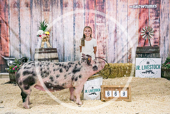 Swine Backdrop-8094
