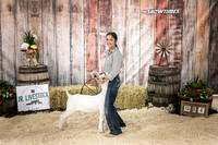 Goats- Backdrop-3370
