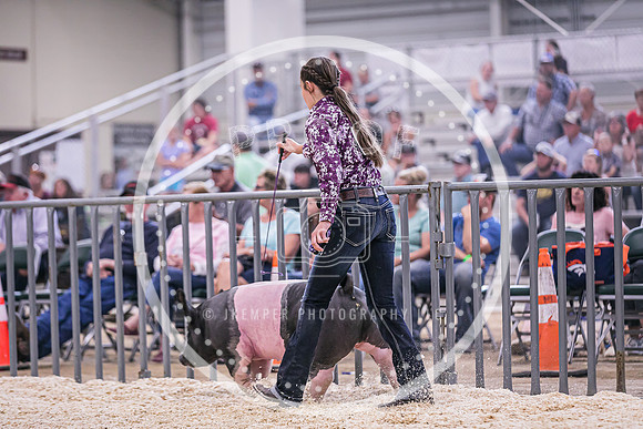 Swine Market-7246