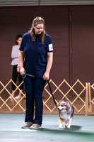 Dog Obedience 2021-5399
