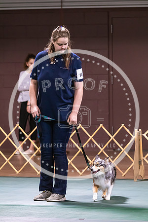 Dog Obedience 2021-5399