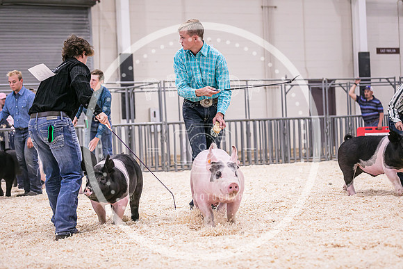 Swine Showmanship-6057