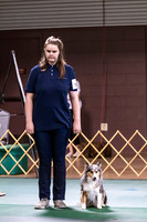 Dog Obedience 2021-5404