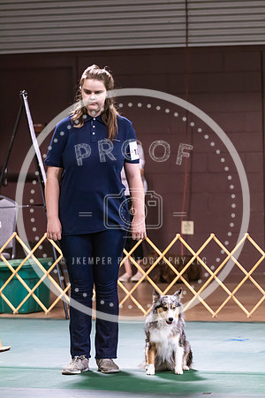 Dog Obedience 2021-5404