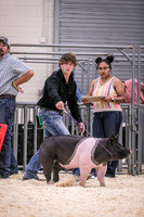 Swine Showmanship-6031