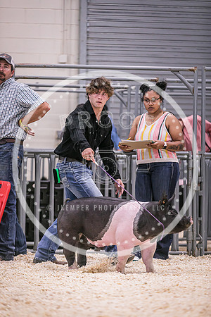 Swine Showmanship-6031