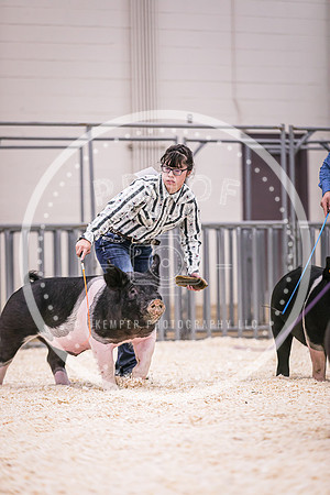 Swine Showmanship-6042