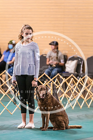 Dog Obedience 2021-5439