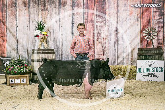 Swine Backdrop-8211
