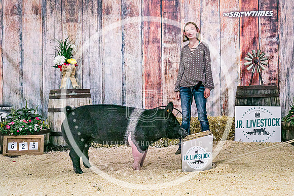 Swine Backdrop-8163
