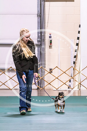 Dog Obedience 2021-5423