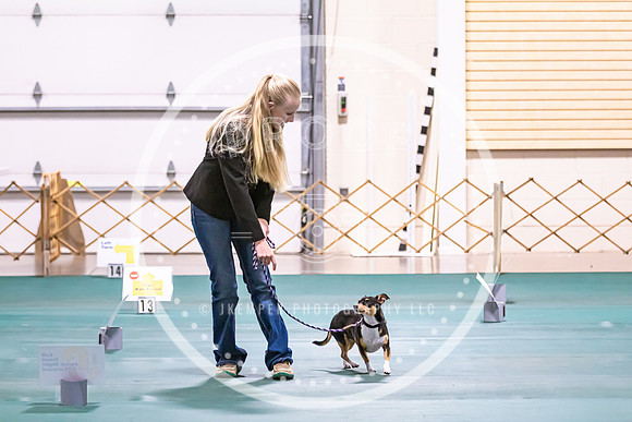 Dog Obedience 2021-5425