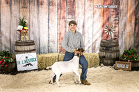 Goats- Backdrop-3427