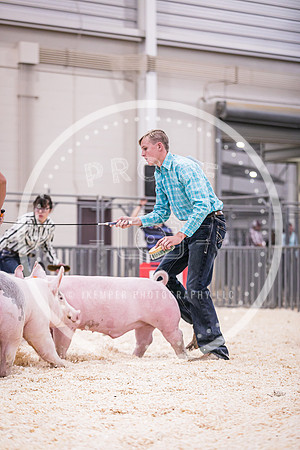 Swine Showmanship-6055
