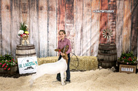 Goats- Backdrop-3344