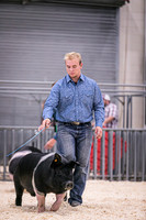 Swine Showmanship-6029