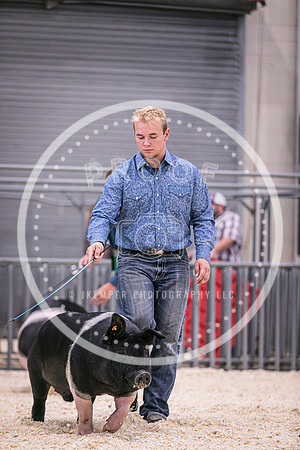 Swine Showmanship-6029