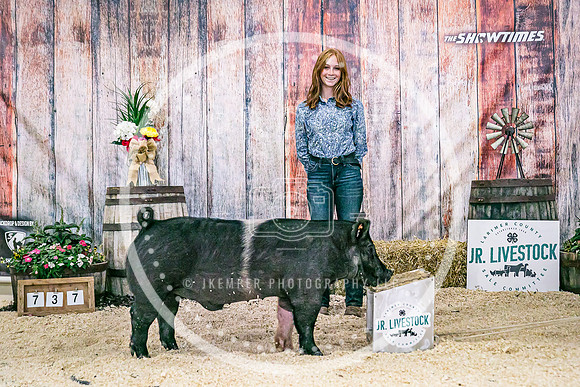 Swine Backdrop-8260
