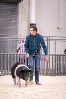 Swine Showmanship-6019