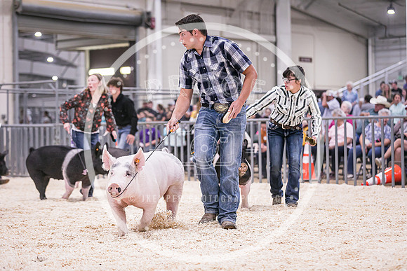 Swine Showmanship-6071