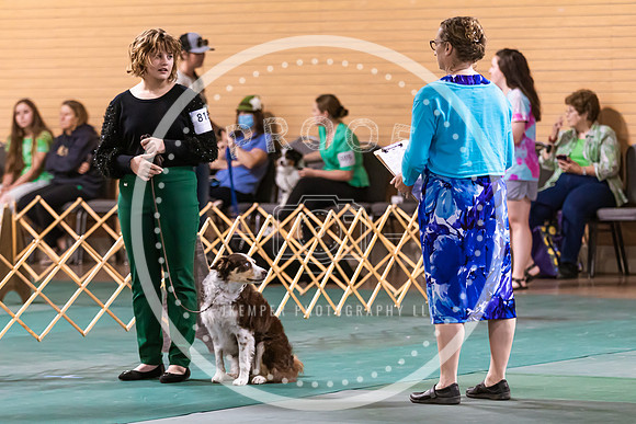 Dog Obedience 2021-5504