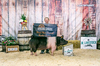 Swine Backdrop-8074