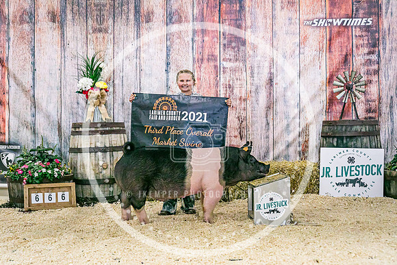Swine Backdrop-8074