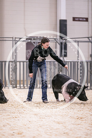 Swine Market-7227