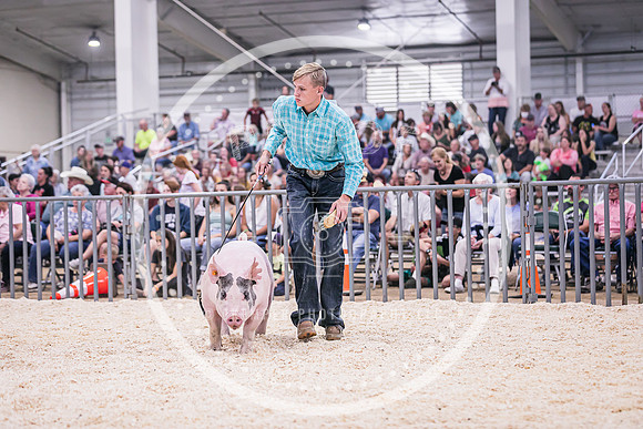 Swine Showmanship-6069
