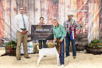 Goats- Backdrop-3323