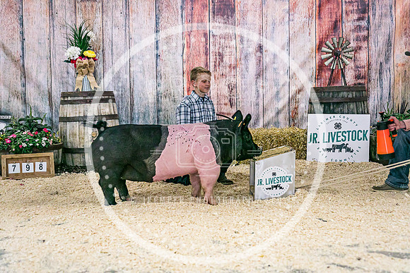 Swine Backdrop-8232