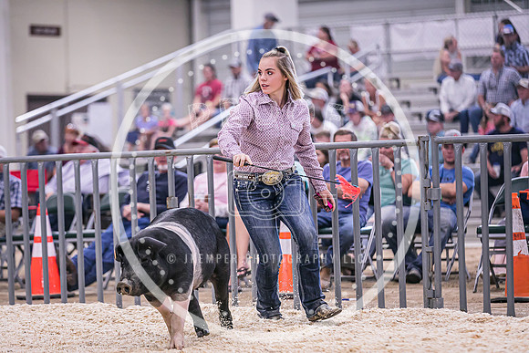 Swine Market-7222