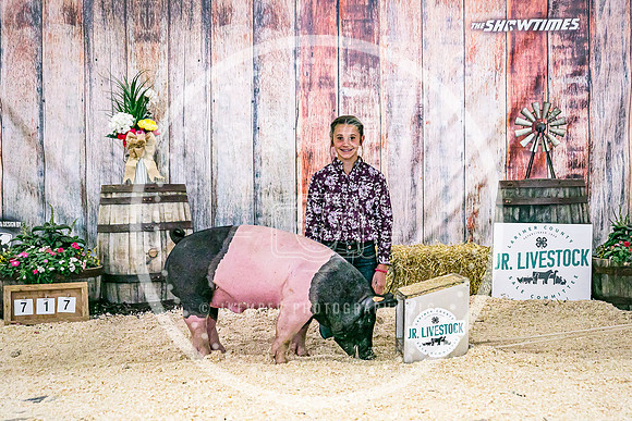 Swine Backdrop-8252