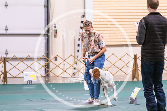 Dog Obedience 2021-5493