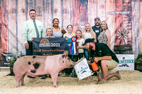 Swine Backdrop-8030