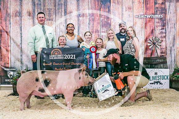 Swine Backdrop-8030