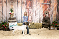Goats- Backdrop-3415